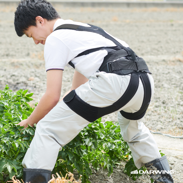 ダイヤ工業 DARWING SATT ダーウィン サット