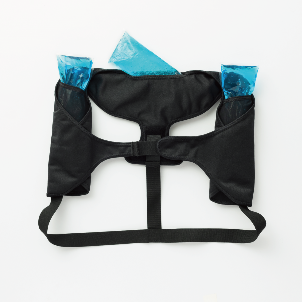 ダイヤ工業 bonbone アイスベスト