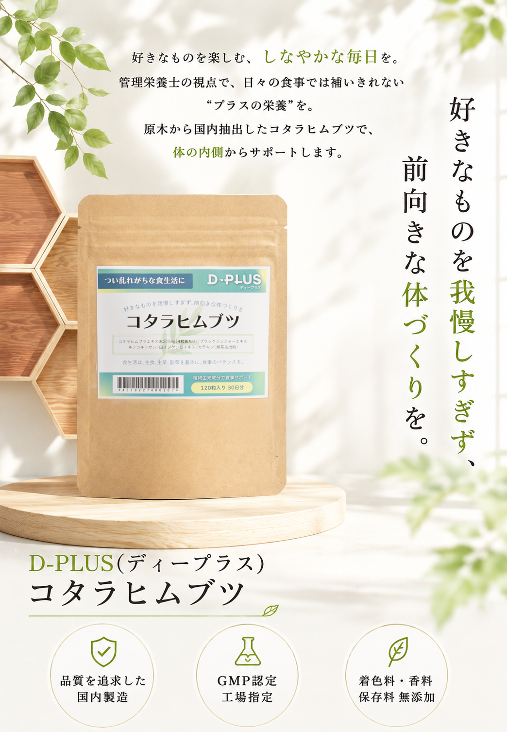 コタラヒムブツ
