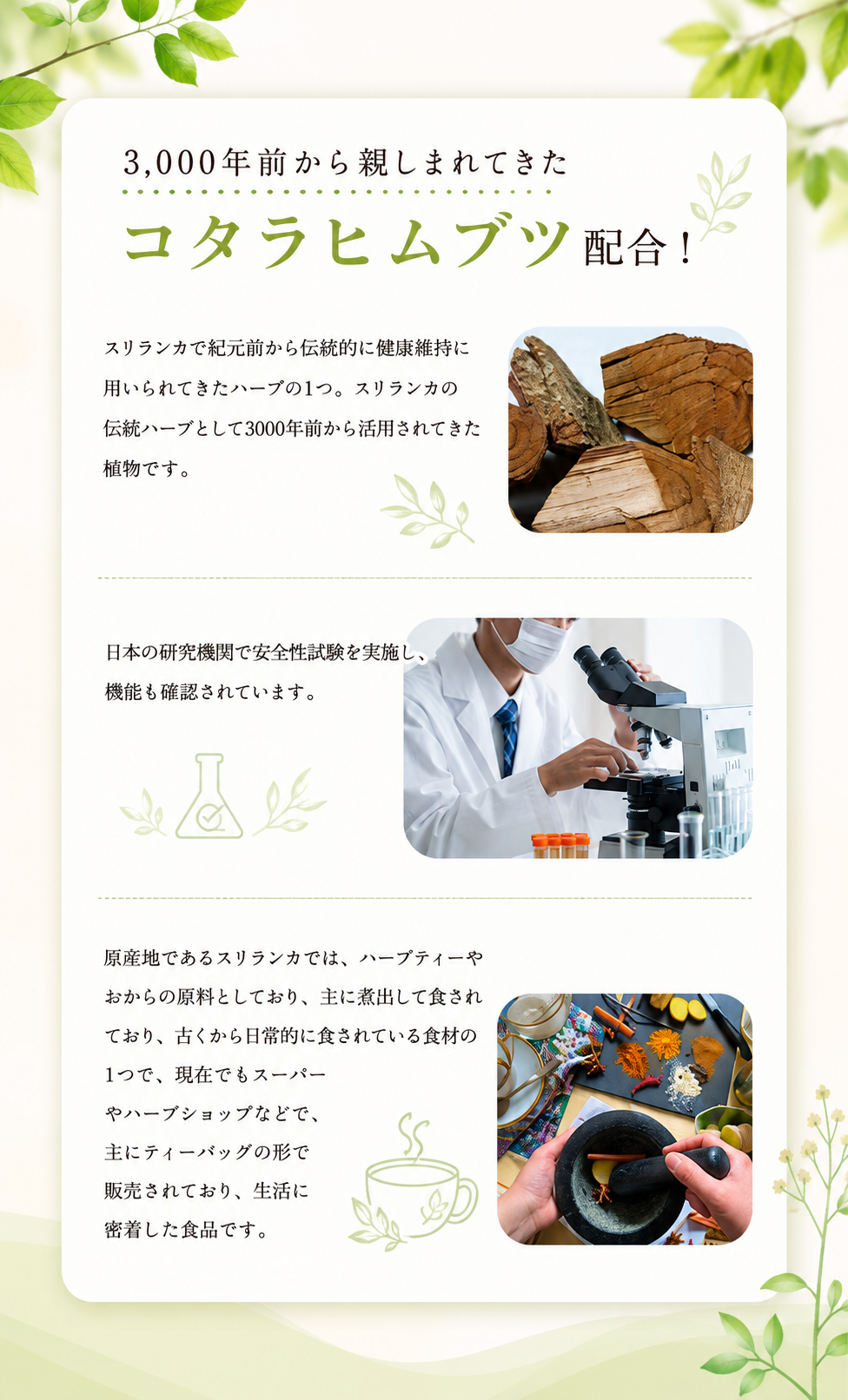 コタラヒムブツとは