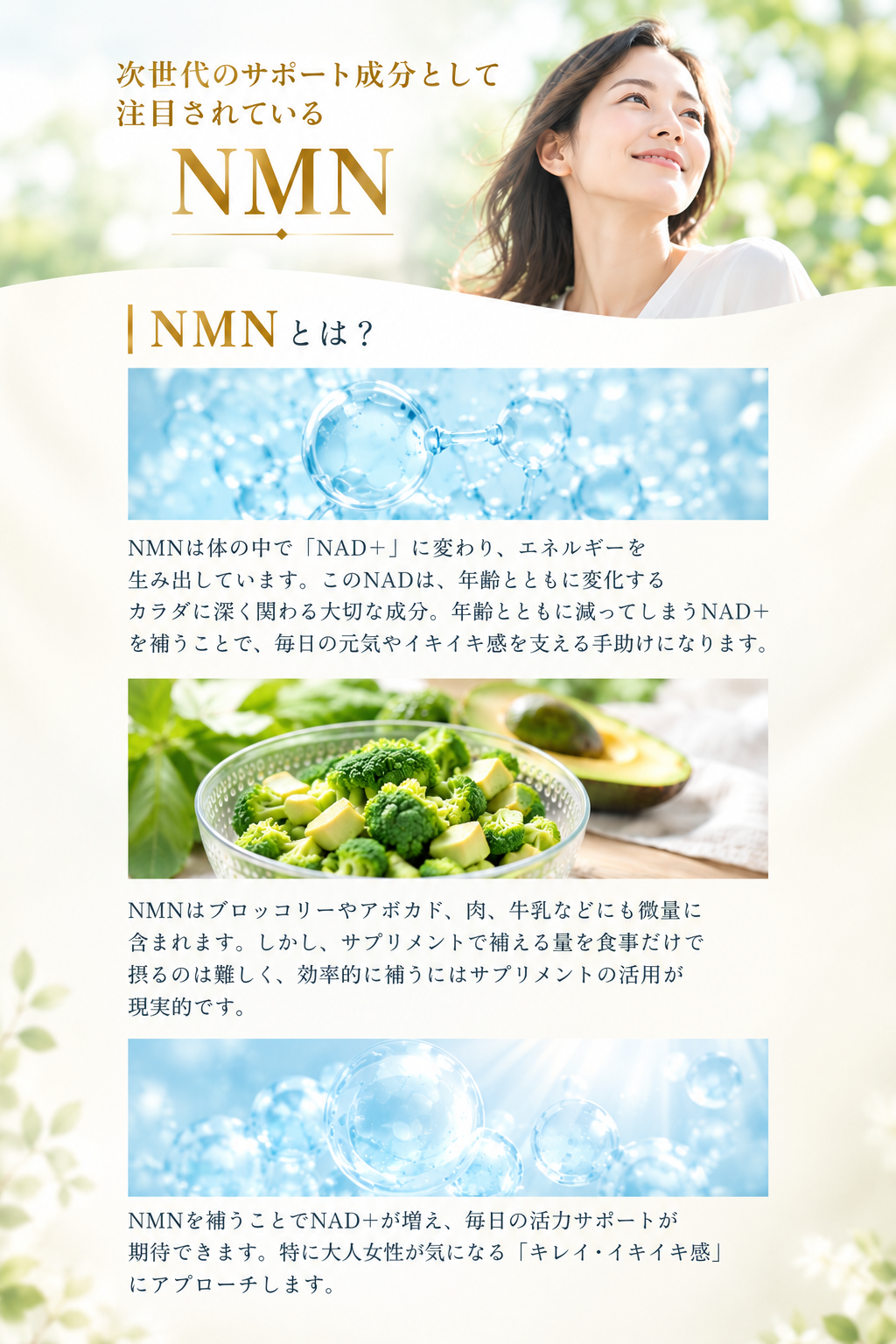 NMNとは